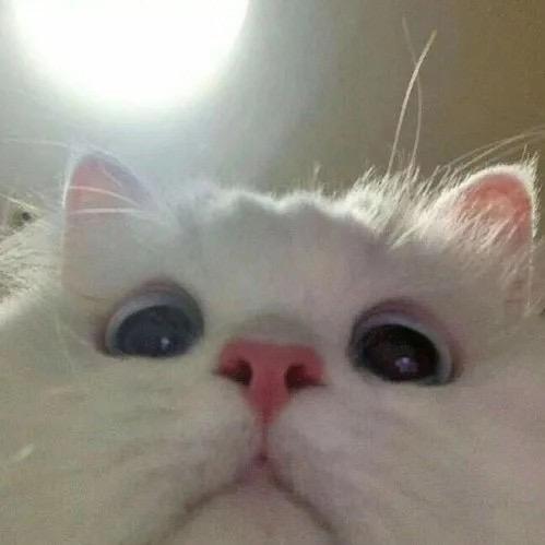 顾好