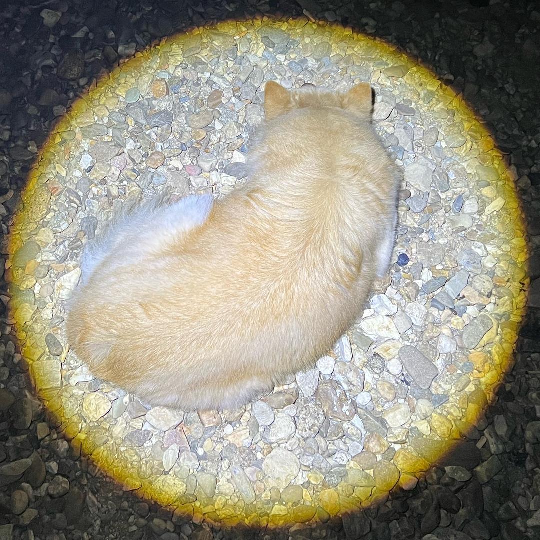 别致蓝
