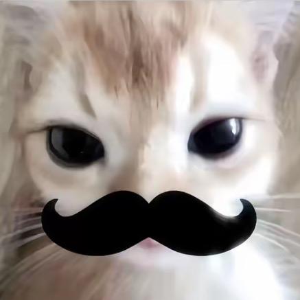 韵