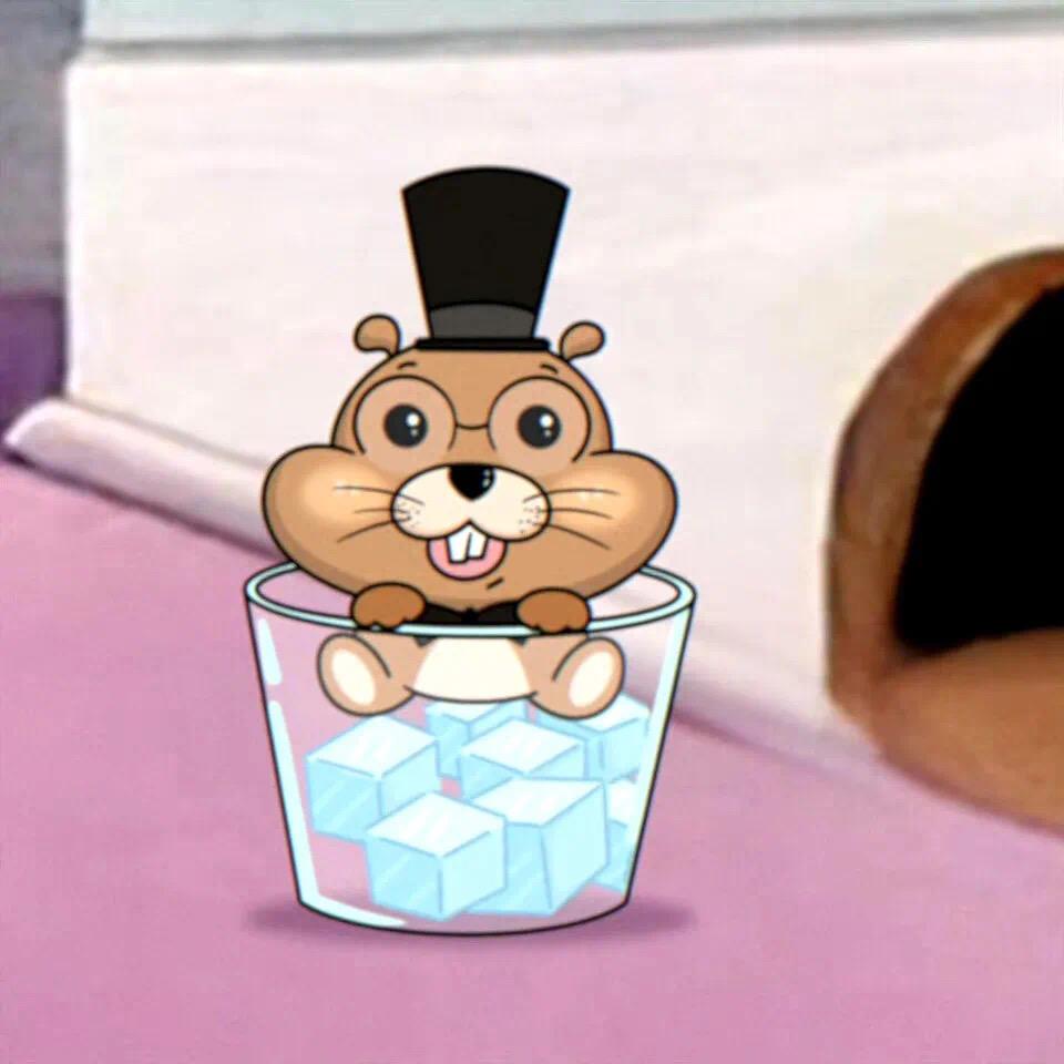 巧克力味蛋黄派