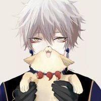 不要和陌生小狗并排走