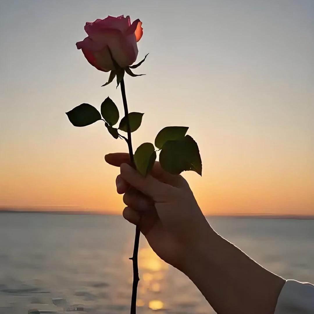 宸睿大女主-观弈