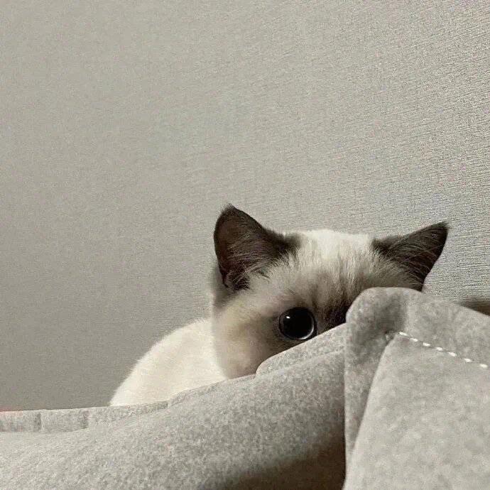 _