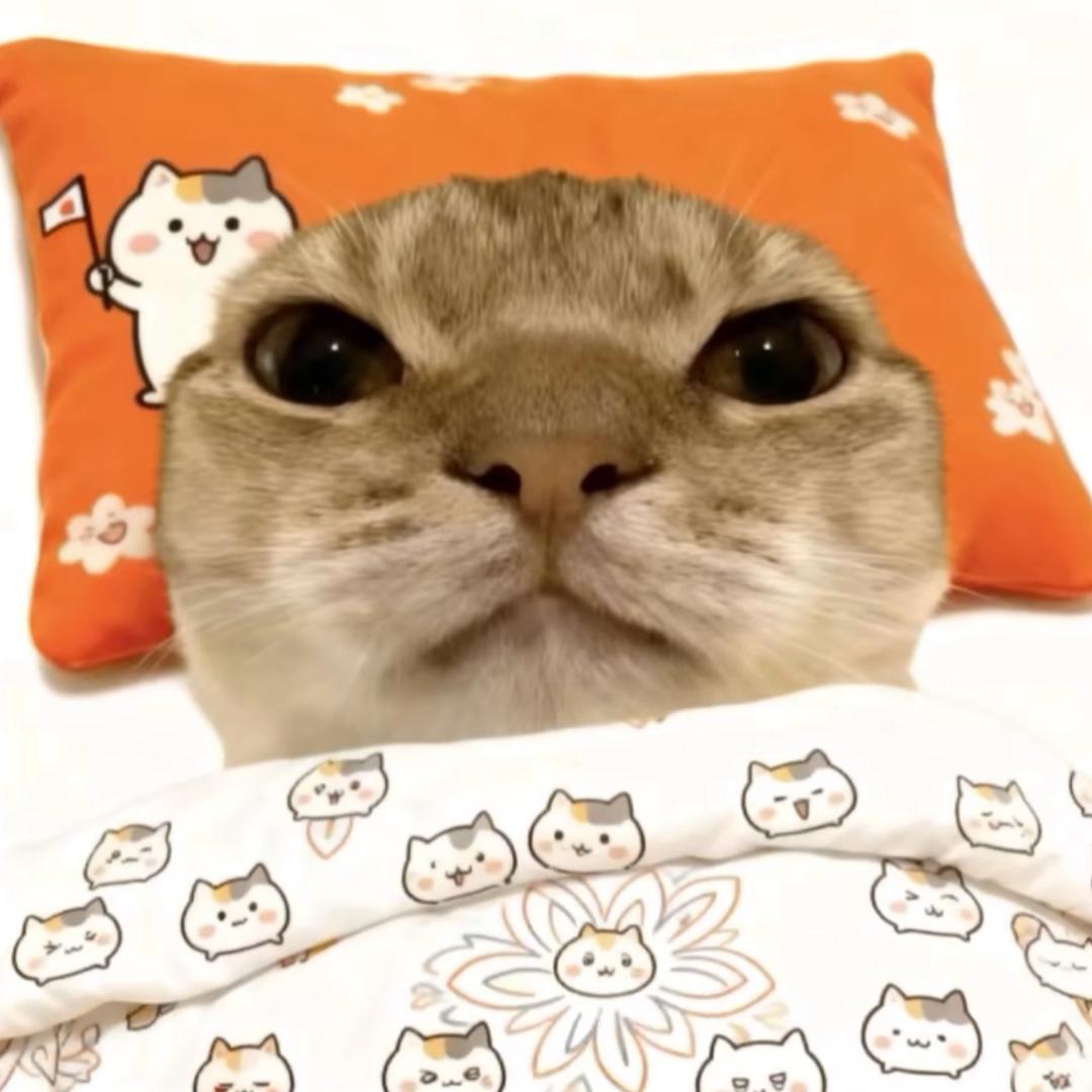 小瑶-