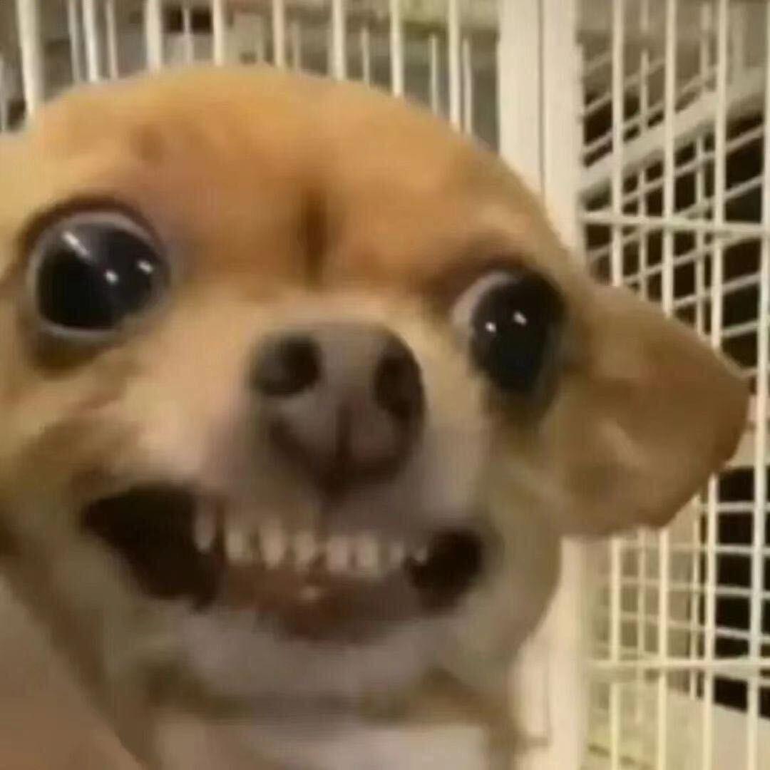 哈哈哈..