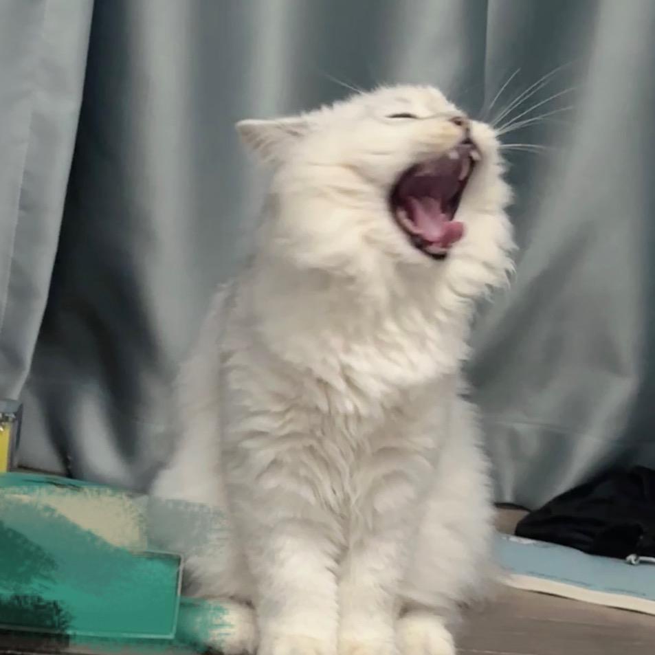 一般我用六倍镜