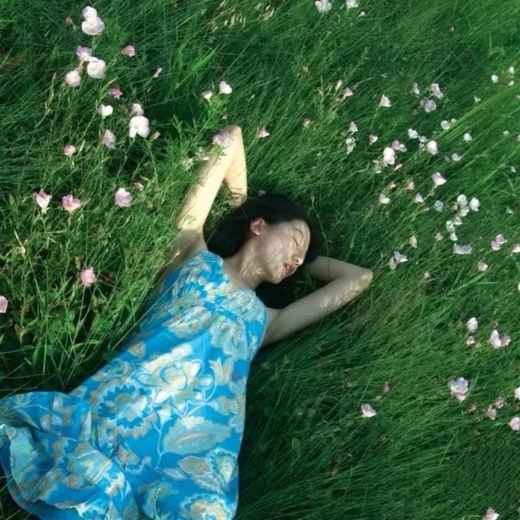 小梨甜菜