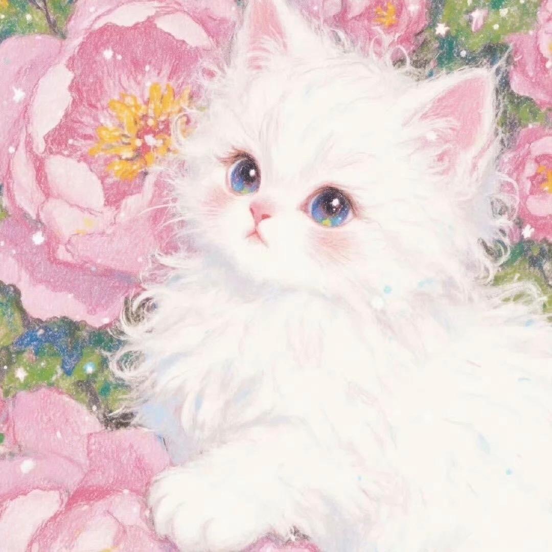 安可萱