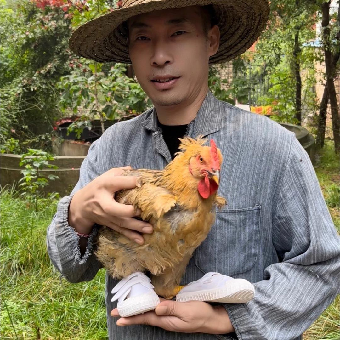 黝黑哥生态农场,我为自己代言!