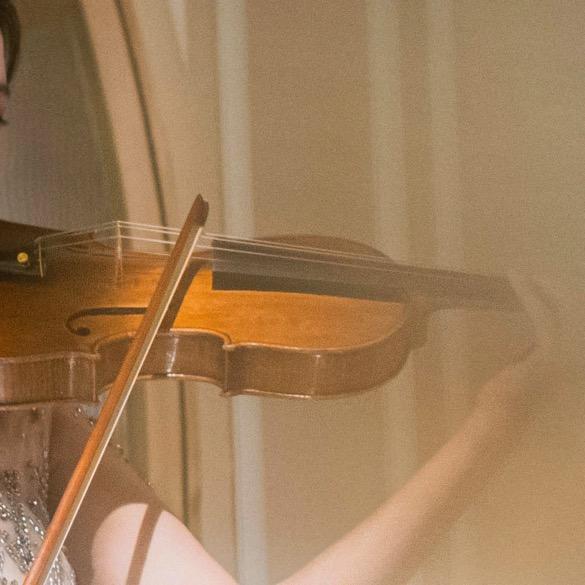 爱拉点小琴的Mimi🎻