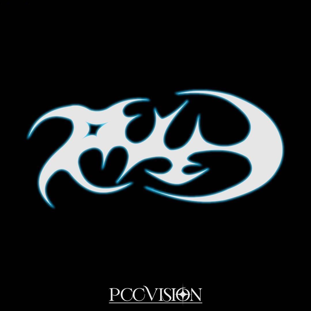 PCCVISION