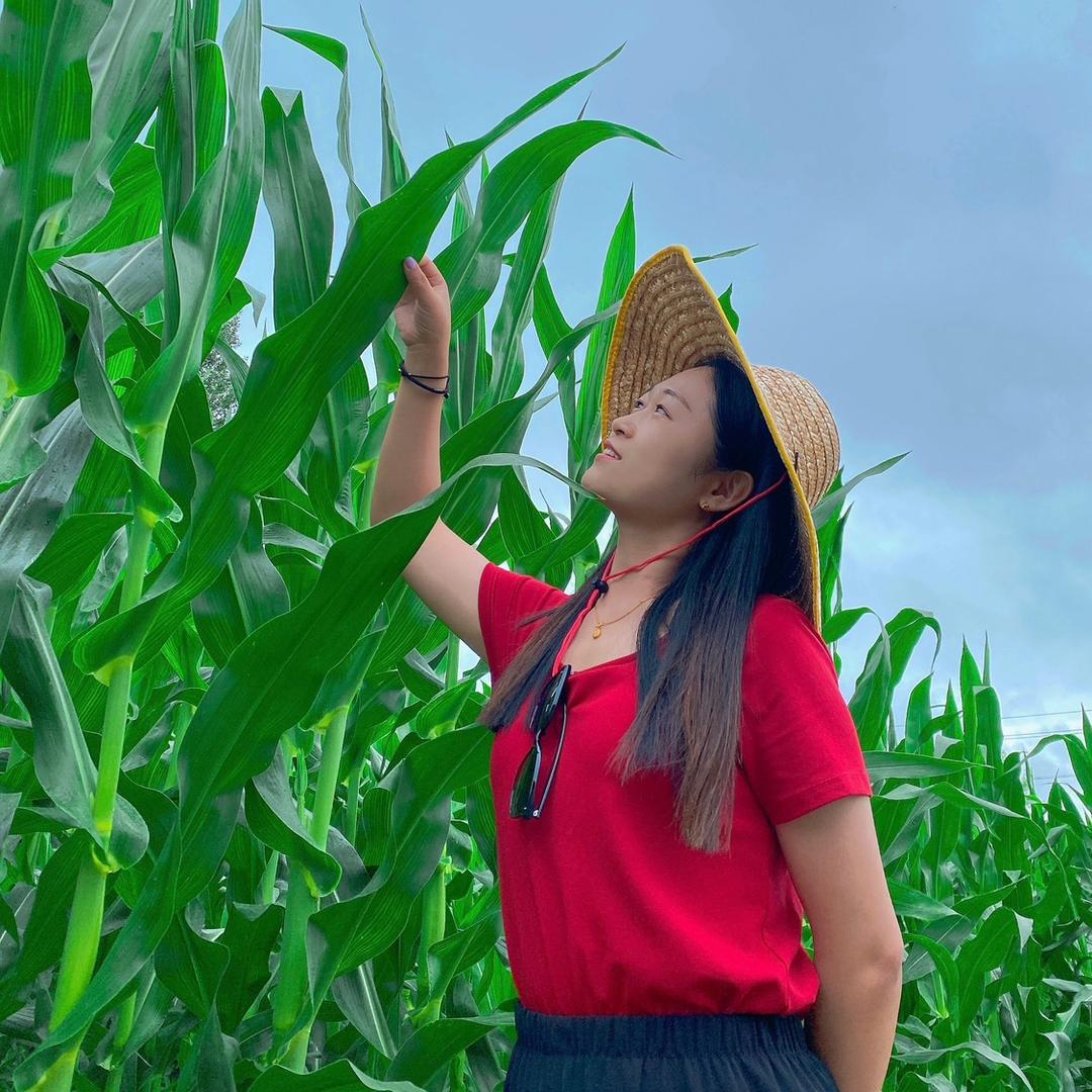 鲤婷