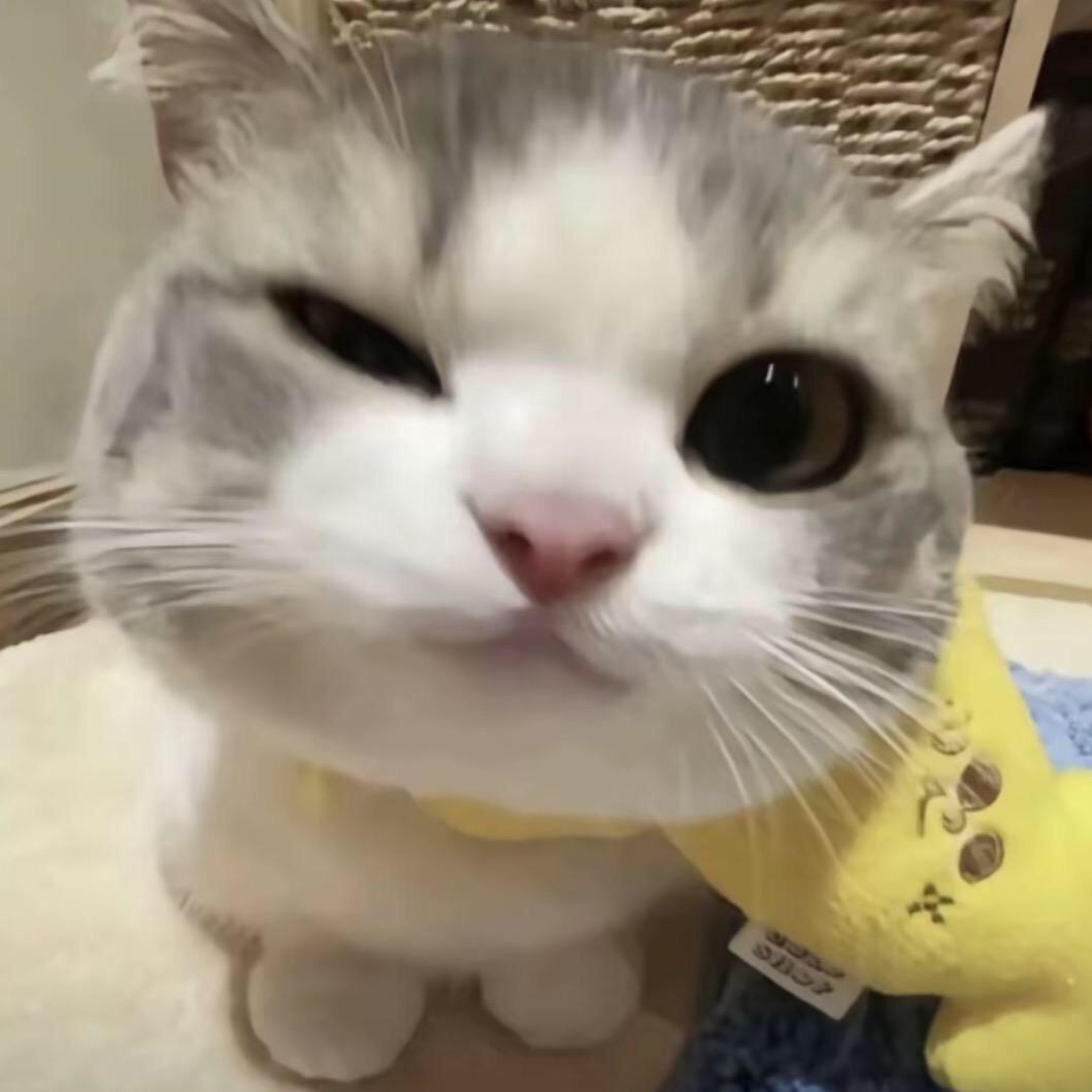 ，。