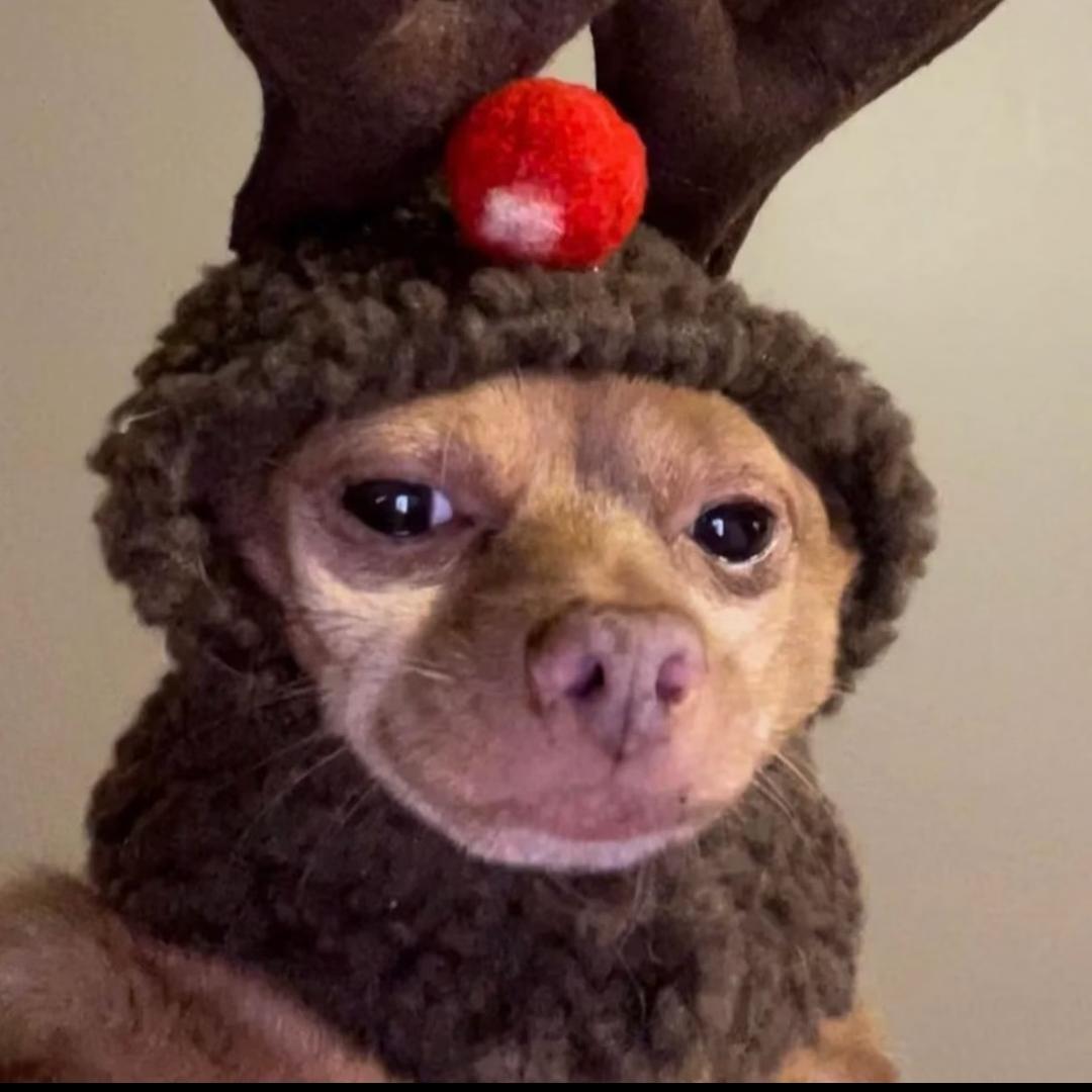 ^ω^