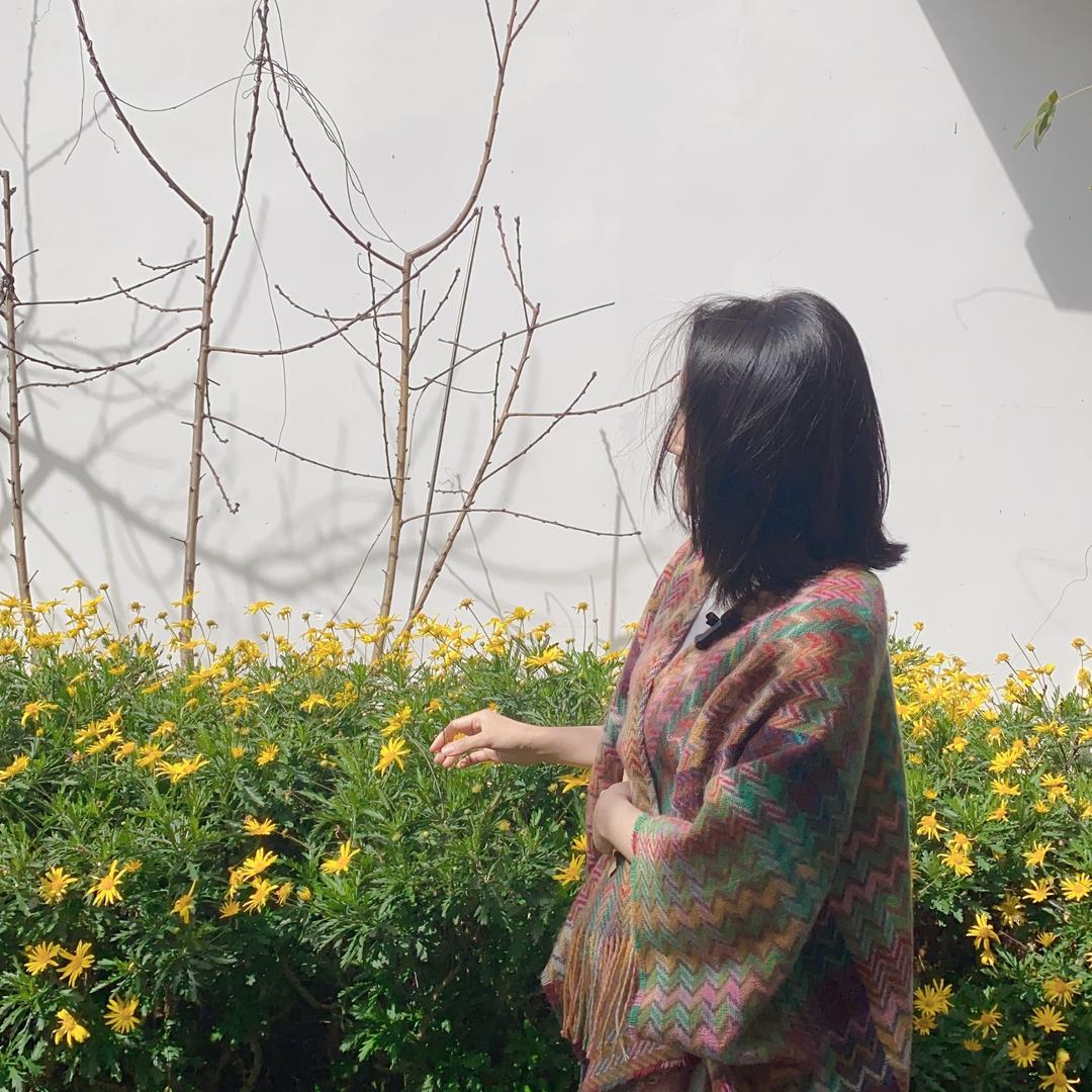 蒲公英🌻