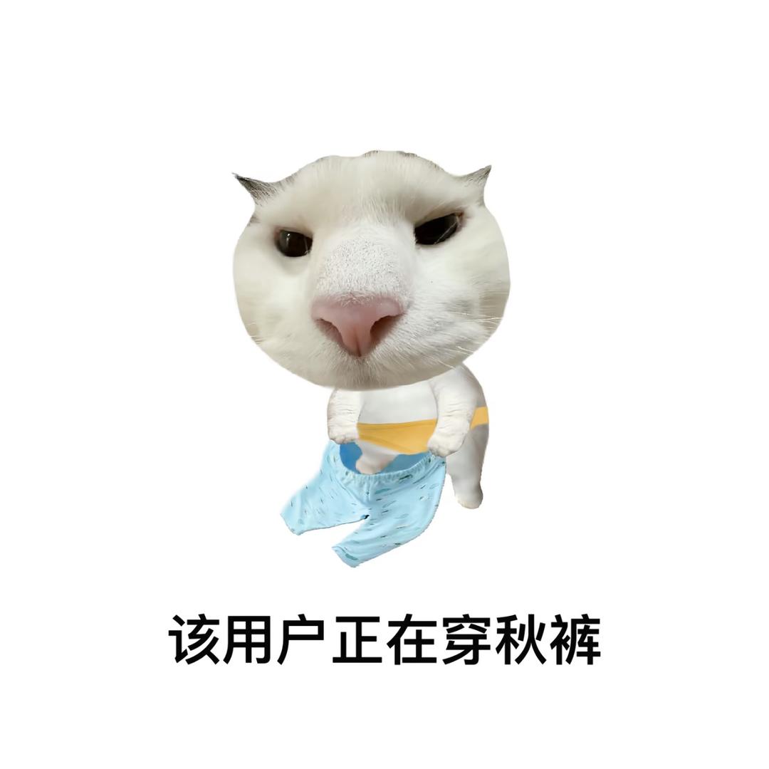 我睡觉时不困