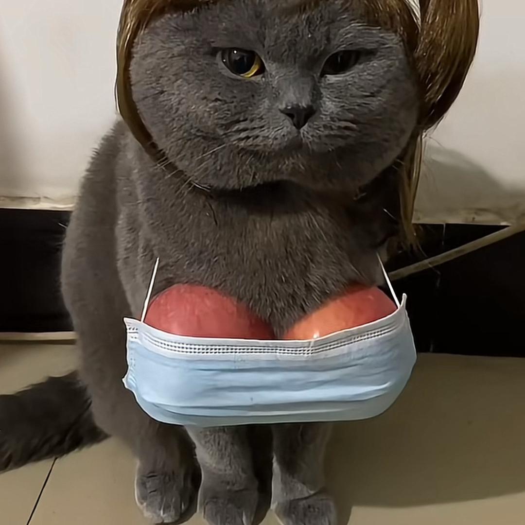 蜀蜀