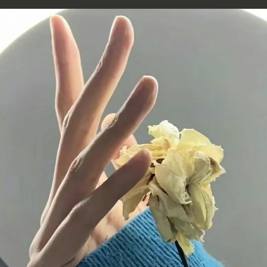 佳佳天天向上