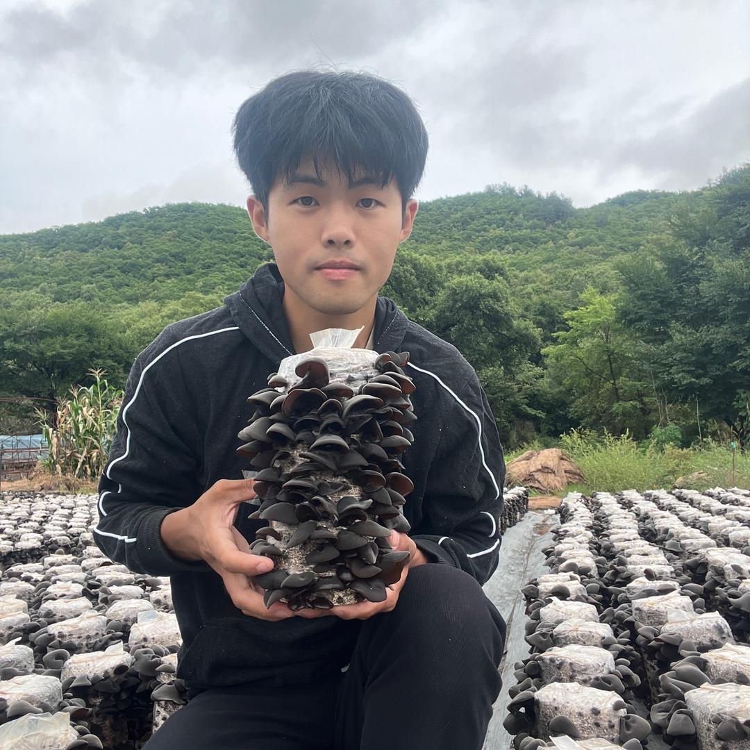大超东北木耳