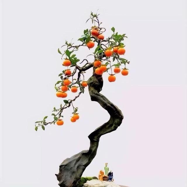匠意大师兄