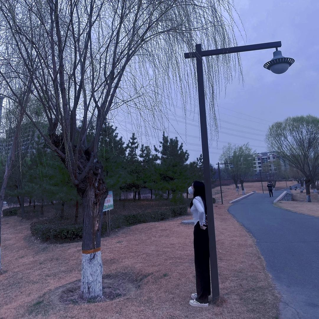 丹妹