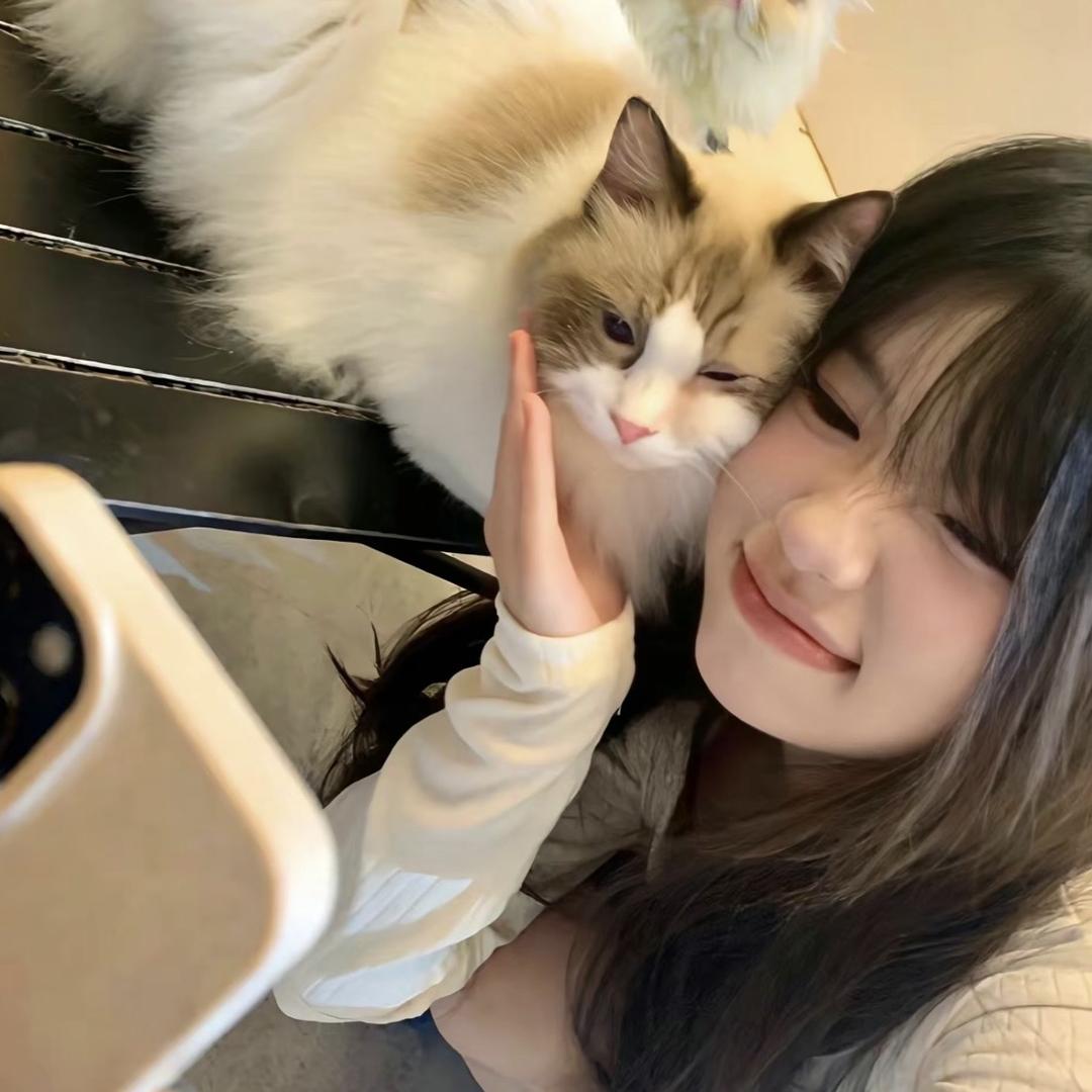 ᖰ´•ᴥ•`ᖳ