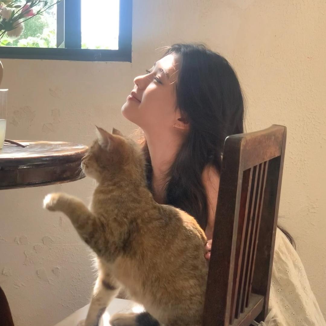 云朵糖