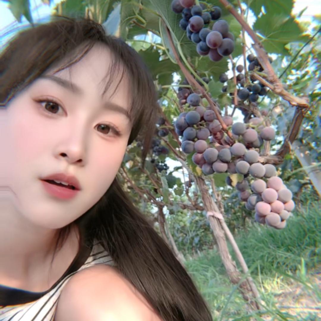 @葡萄妹