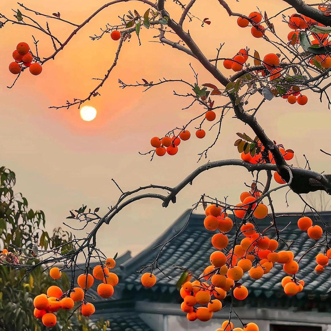 利川帮掌柜传媒