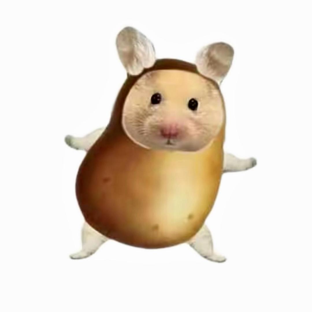 8/