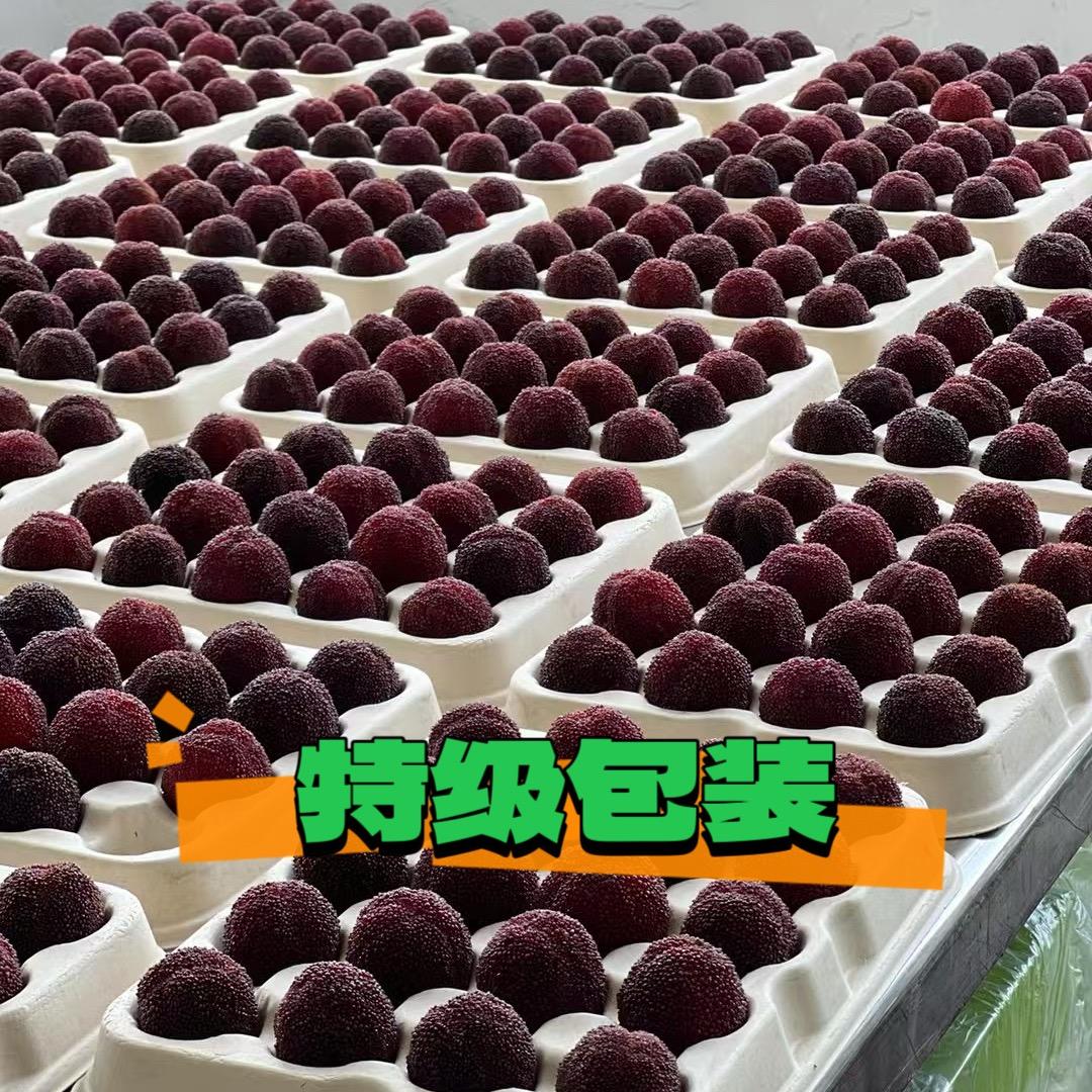 青田叶丽_东魁杨梅👧