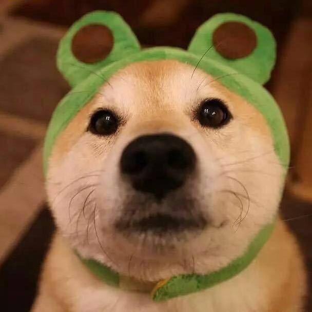 陈遇