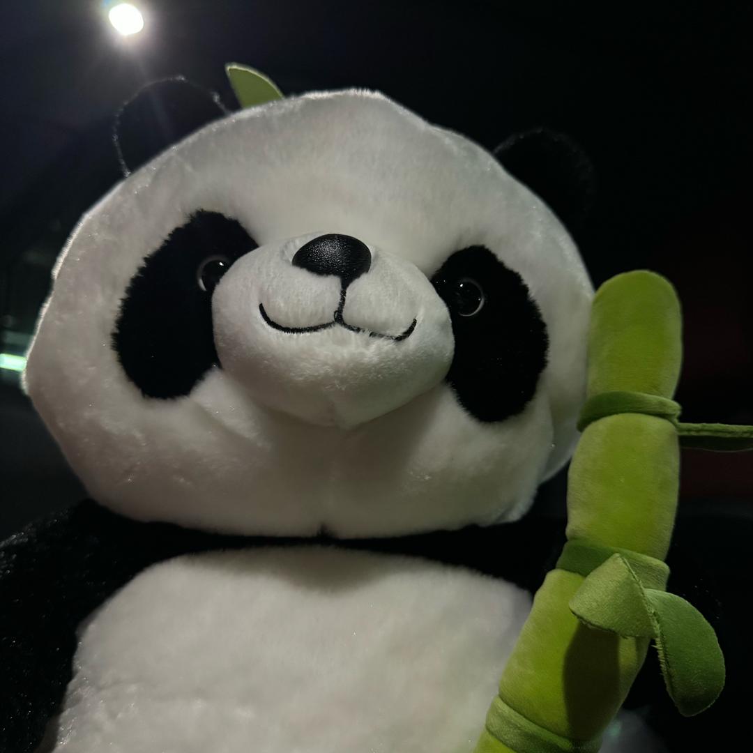 拿🎋的🐼