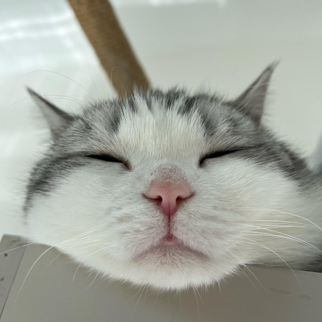 木子休假中~