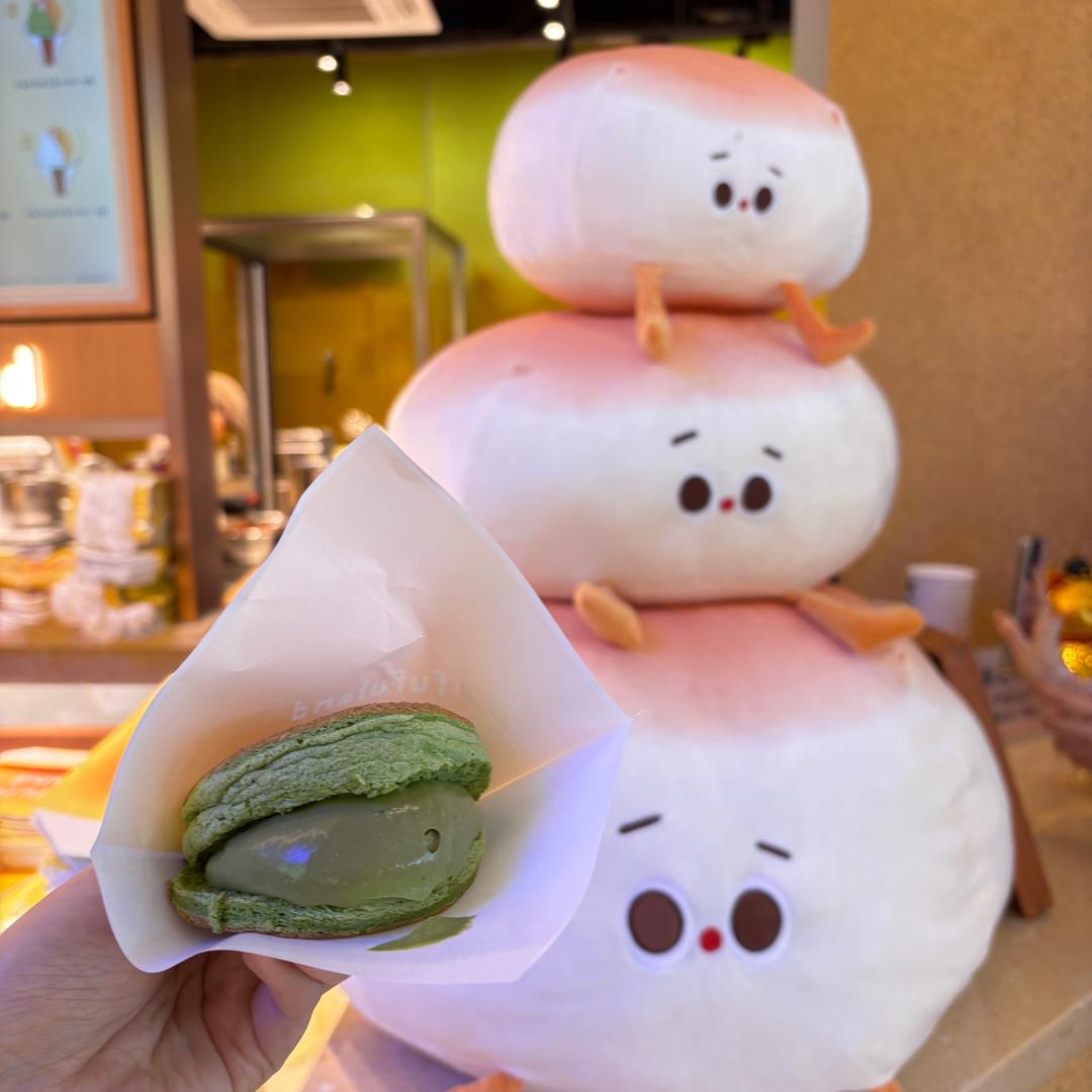 小茶爱吃肉棕