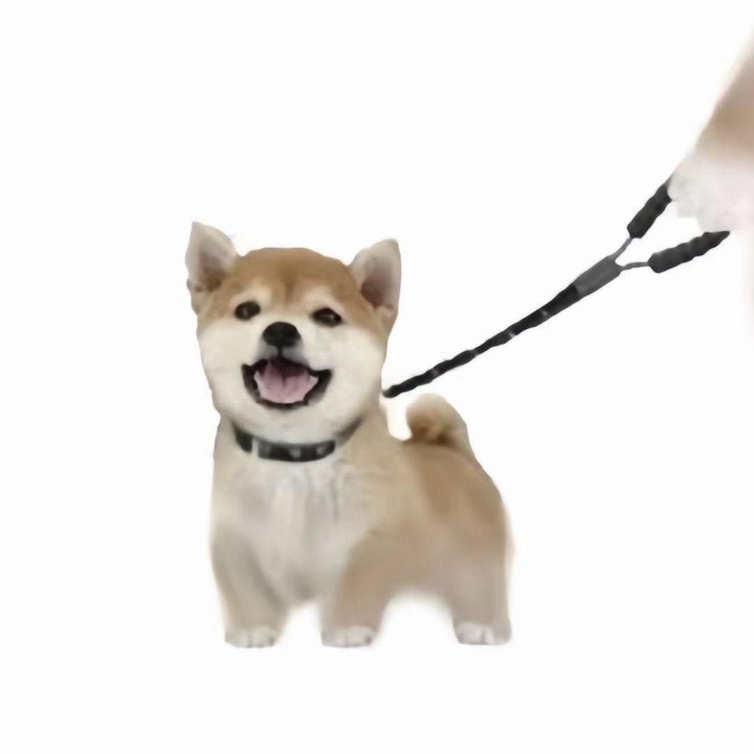 AugeN汉堡