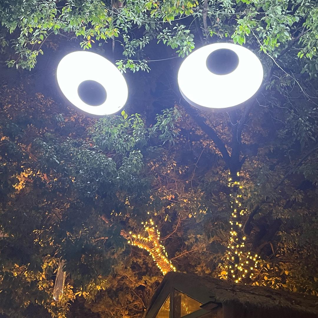 西海岸的哒哒蛙
