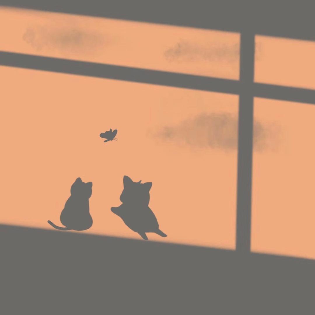 🐯