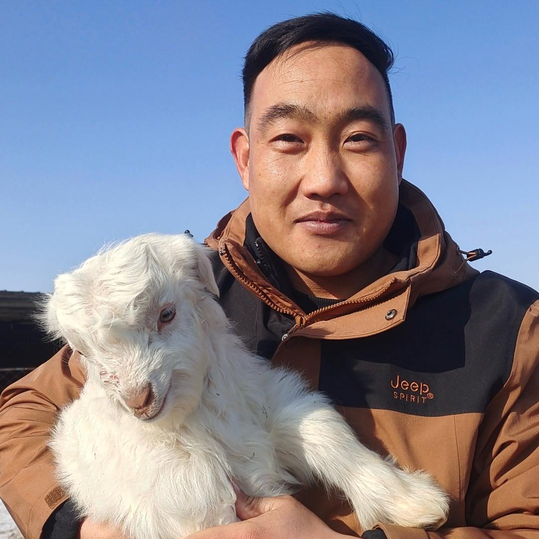 毛毛虫讲故事