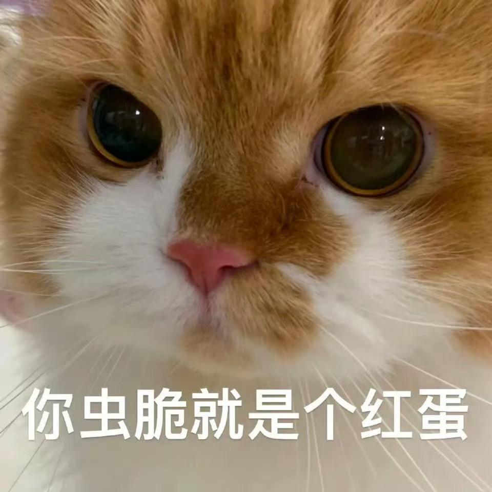 花泽giegie