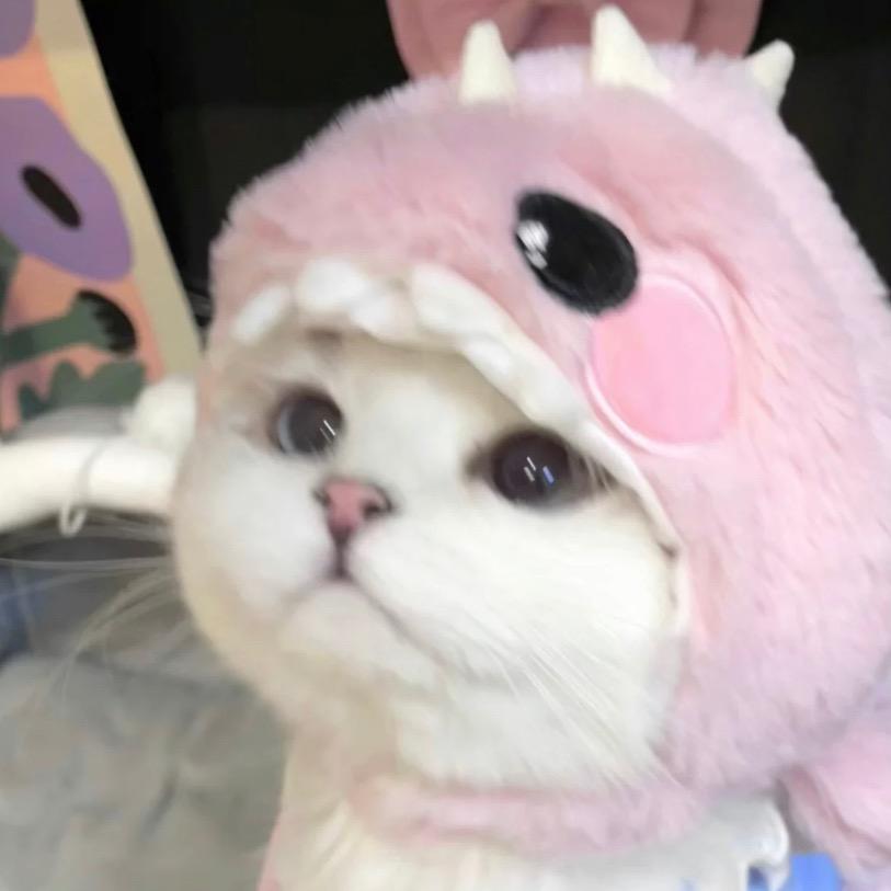 氺氺