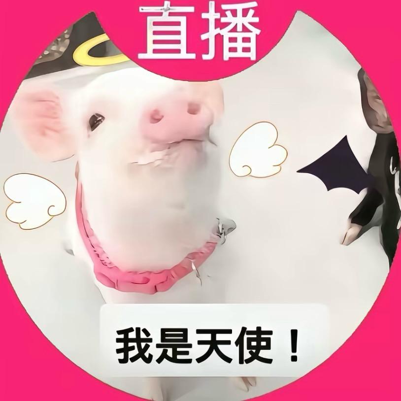 等雨停