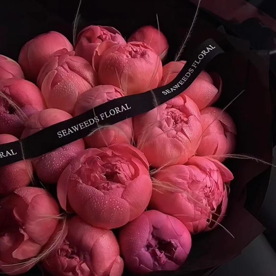 🐰