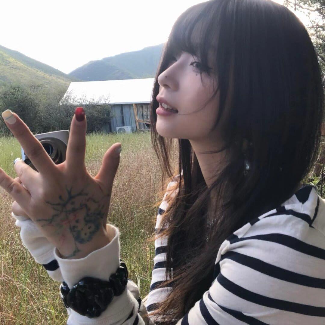 色彩斑斓的苹果