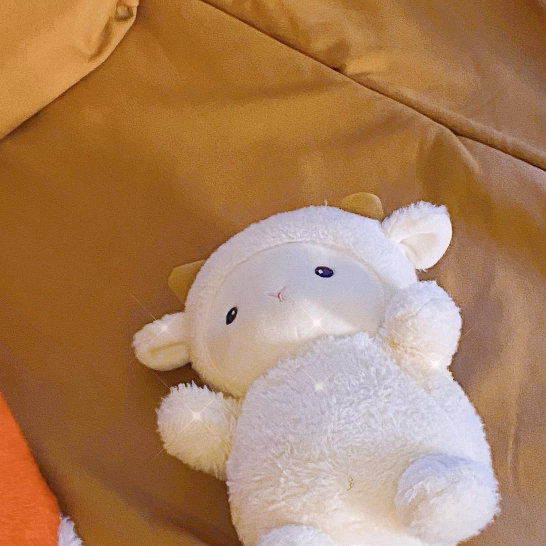 ☄️挂机遛狗or铲猫屎去了