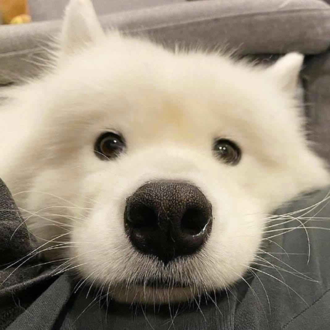 Wan_an