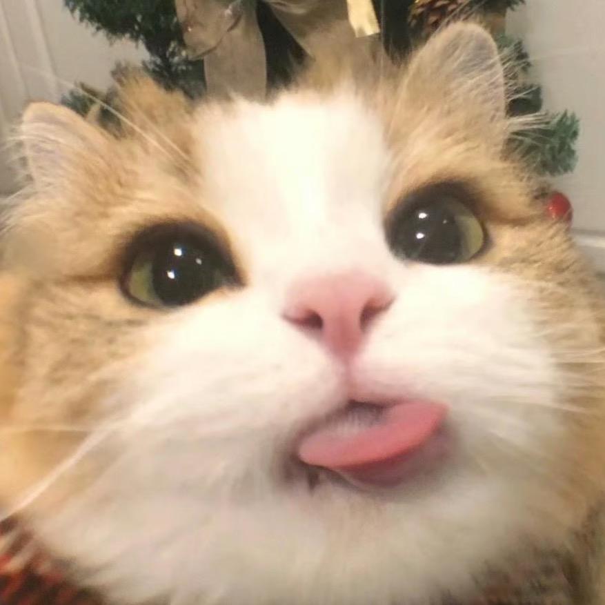 栖瑾