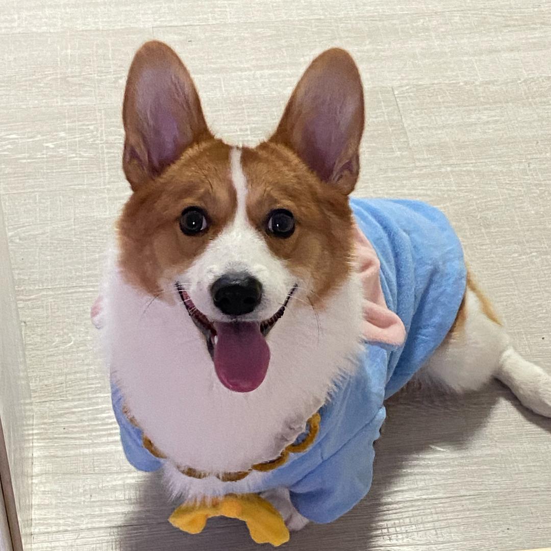 王柒陆