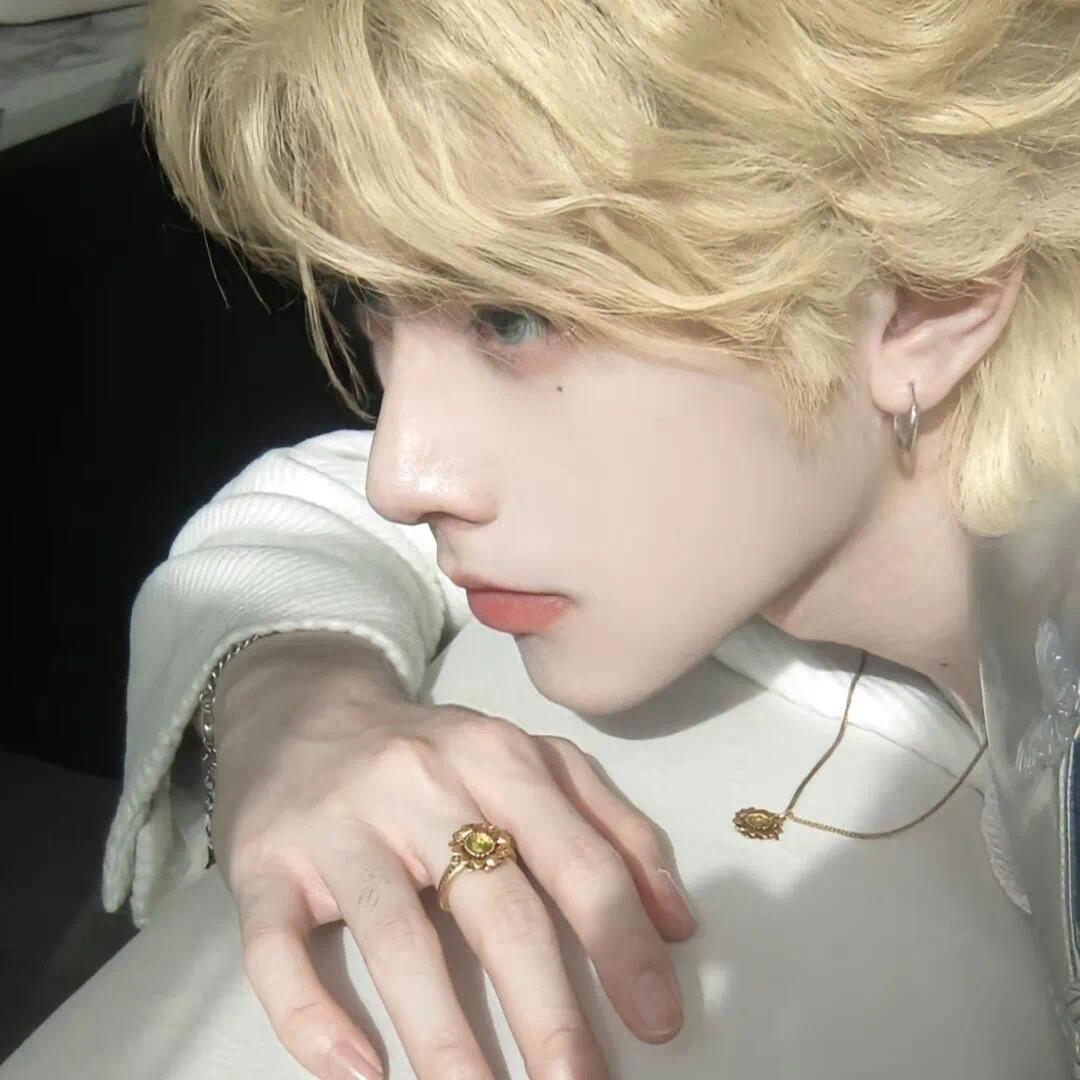 笨蛋