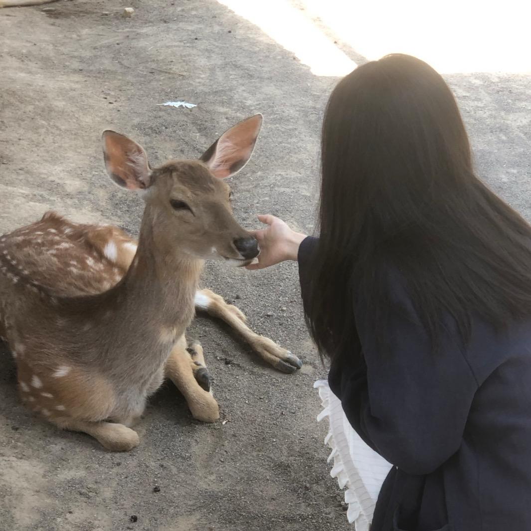 小陈好饿